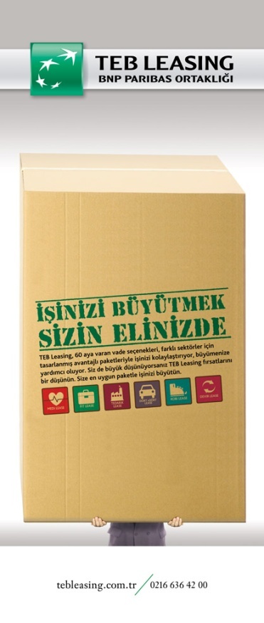 TEB Arval TEB Leasing — çalışma 3